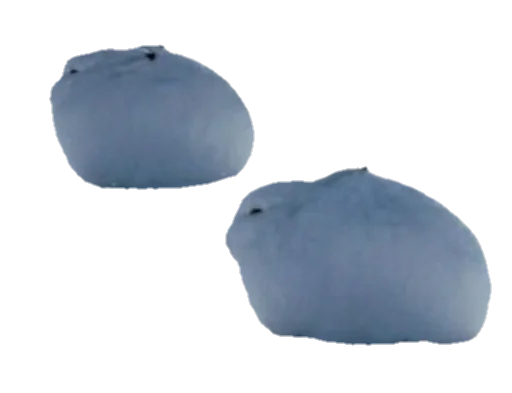 снег зима луна