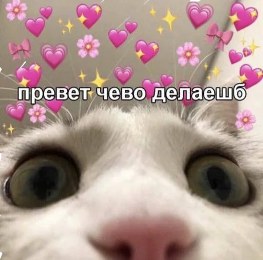 i love u 😩❤️ - СМС