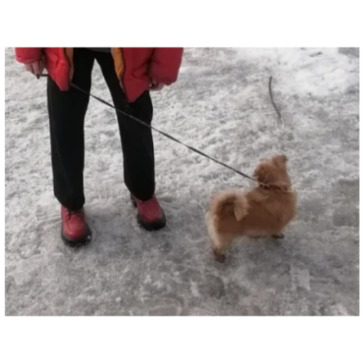 Стикер ilya3872 - 1