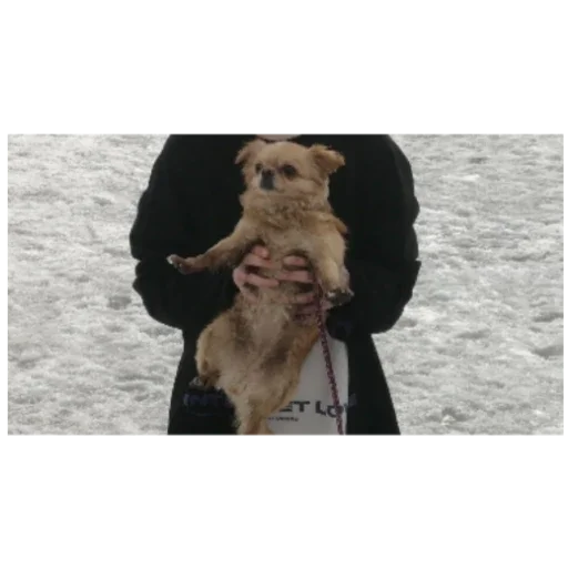 Sticker ilya3872 - 1