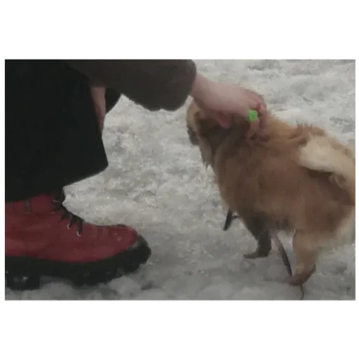 Sticker ilya3872 - 1