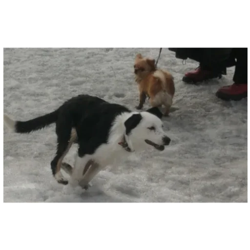 Стикер ilya3872 - 1