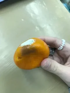 Sticker илья лох - 3