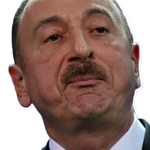 human face forehead chin