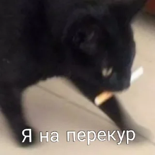 Sticker Перекур таксиста чек - 7