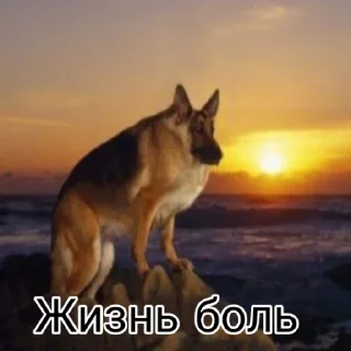 Sticker Перекур таксиста чек - 1