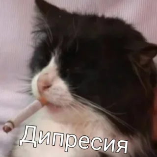 Sticker Перекур таксиста чек - 11