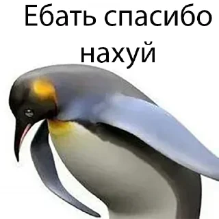 Sticker iMaSticks - 3