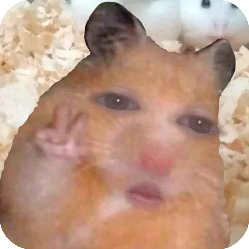 Стикер imbSMIu_by_achestickbot - 1