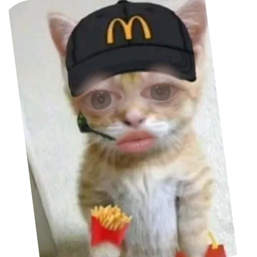 Стикер imbSMIu_by_achestickbot - 1