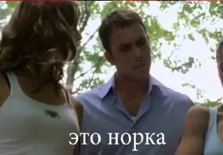 Sticker no im ebluga - 2