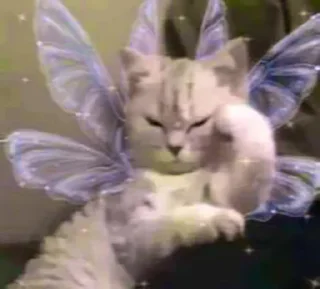 Стикер no im ebluga 2.0 - 7