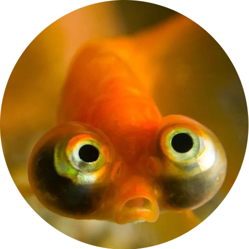 я рыба ало @tizerof - 