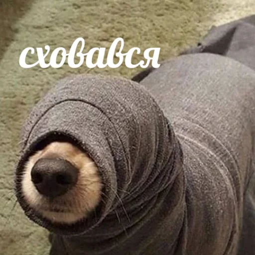 земля Человек одеяло