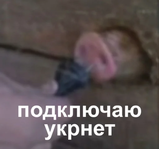 СМС Человек