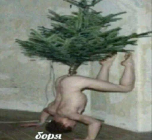 растение Елку рисование