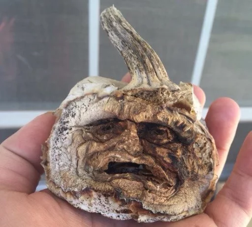 Стикер imp_disc - 1