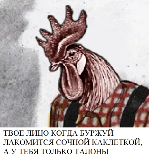 Стикер imp_disc - 1