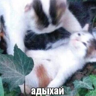 Sticker ForImportantNegotiations - 1