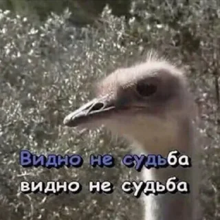 Sticker ForImportantNegotiations - 10