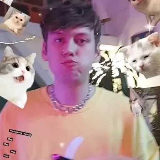 ипродурдом 👼🏻 :: @fStikBot - Человек