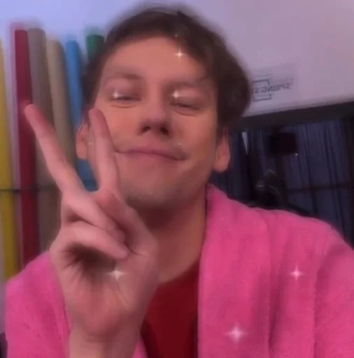 Человек человеческое лицо комнатный