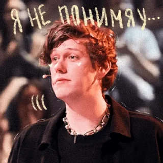 Sticker • коты рины • - 2