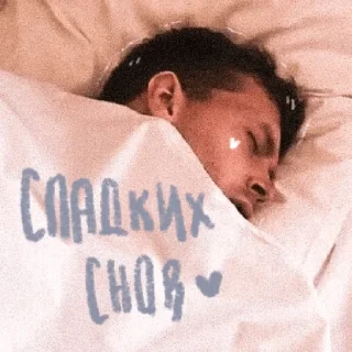 Sticker • коты рины • - 3