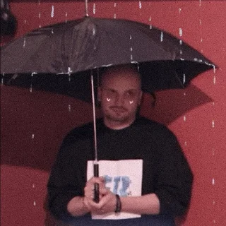 Sticker • коты рины • - 10