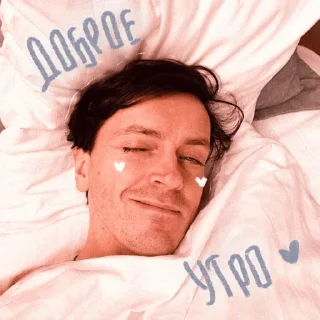 Sticker • коты рины • - 11