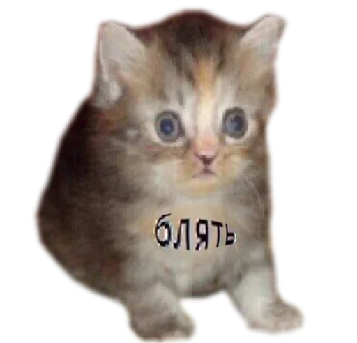 Sticker пздц нахуй. жала. by @fStikBot - 5