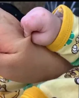 Стикер سرو - 11