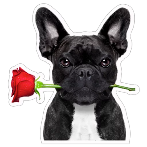 Sticker Нескромные валентинки - 4