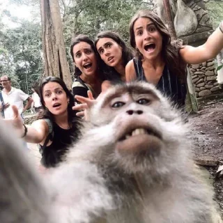 Sticker rlnya @broadios - 11