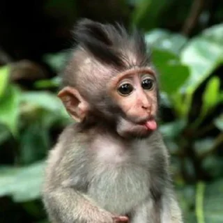 Sticker rlnya @broadios - 4