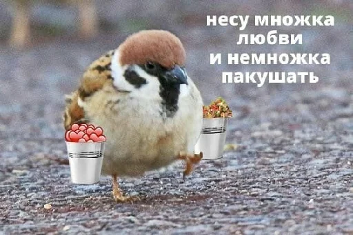 Стикер опять вкрашилась 2.0 - 10