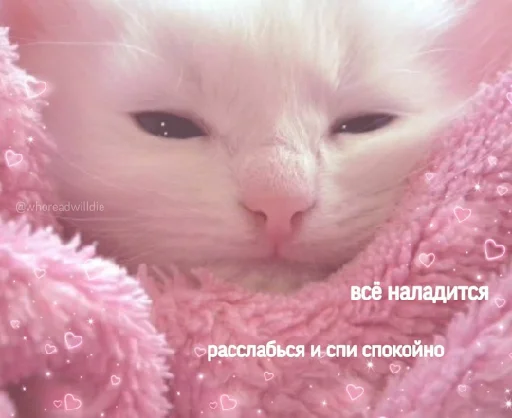 Стикер опять вкрашилась 2.0 - 4