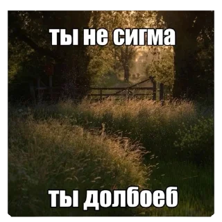 Sticker с кайфом стикеры до - 11