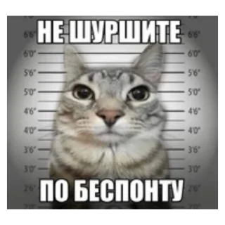 Sticker с кайфом стикеры до - 10