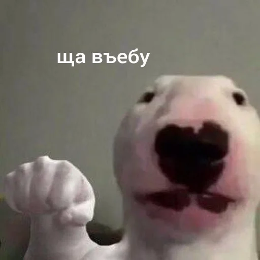 Sticker insanneeepack - 1