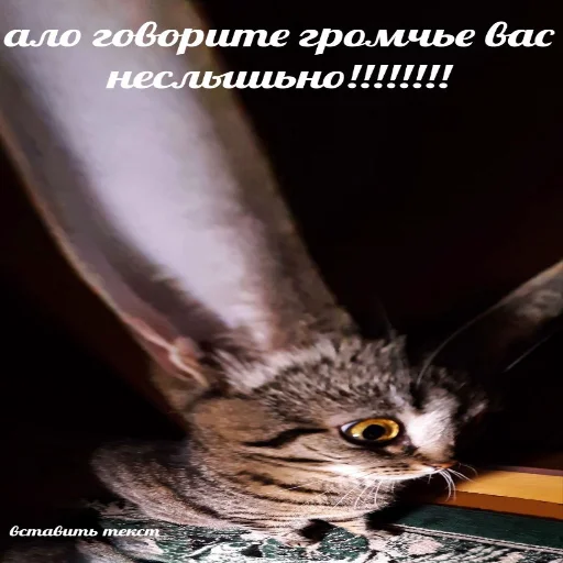 Sticker insanneeepack - 1