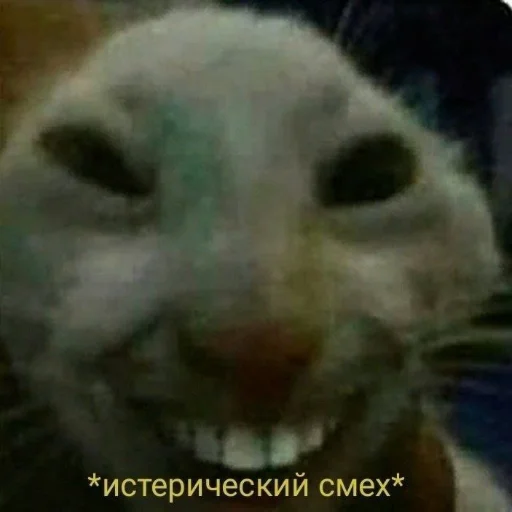 Sticker insanneeepack - 1