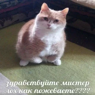 Стикер insanepack - 7