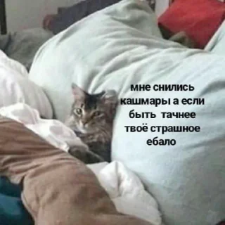 Стикер insanepack - 10