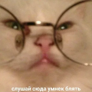 Стикер insanepack - 11