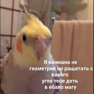 Стикер insanepack - 9