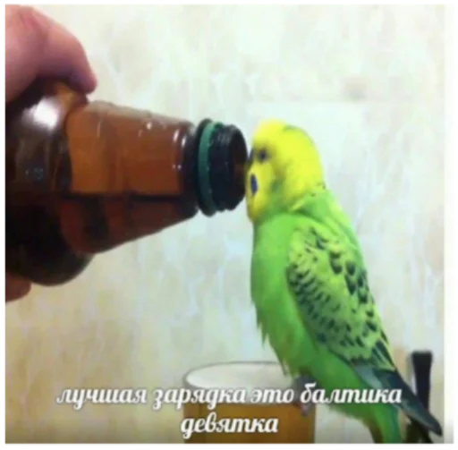 @sobaka96 бог тебя любит - 