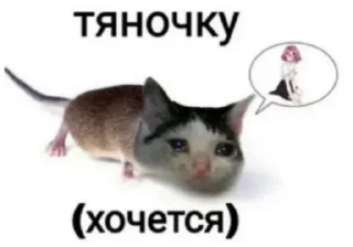 Sticker @sobaka96 бог тебя любит - 10