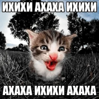 Sticker инсультная грыжа молодого наркозависимого - 9