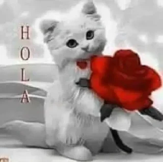 Sticker инсультная грыжа молодого наркозависимого - 8